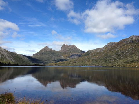 Cradle Mountain National Park Day Tour From Launceston - Northern Rivers Accommodation 13
