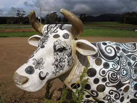 Cradle Mountain National Park Day Tour From Launceston - Northern Rivers Accommodation 19