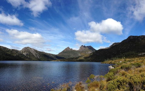 Cradle Mountain National Park Day Tour From Launceston - Northern Rivers Accommodation 12