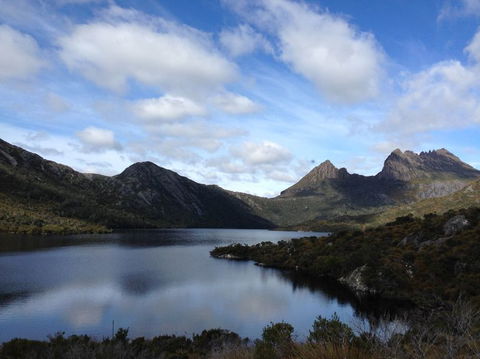 Cradle Mountain National Park Day Tour From Launceston - Northern Rivers Accommodation 11