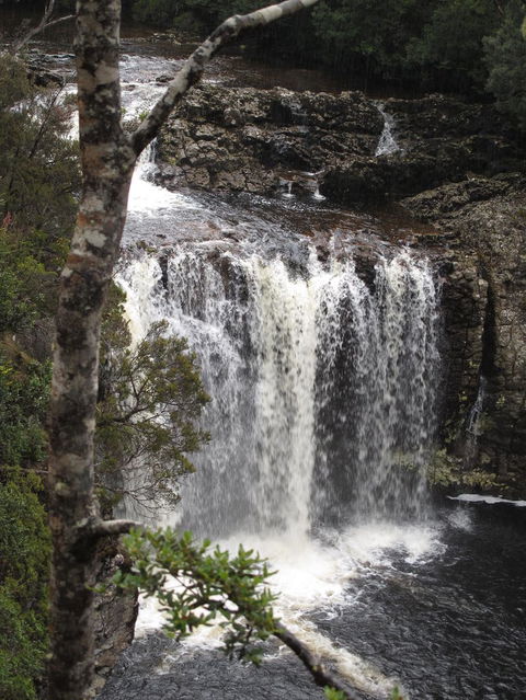 Cradle Mountain National Park Day Tour From Launceston - Northern Rivers Accommodation 3