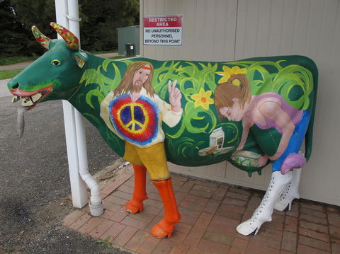 Cradle Mountain National Park Day Tour From Launceston - Northern Rivers Accommodation 4