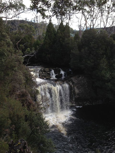 Cradle Mountain National Park Day Tour From Launceston - Northern Rivers Accommodation 5