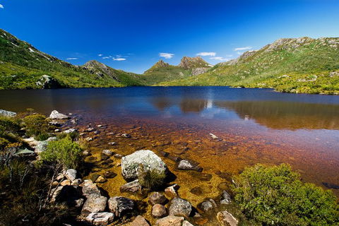 Cradle Mountain National Park Day Tour From Launceston - Northern Rivers Accommodation 22