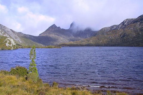 Cradle Mountain National Park Day Tour From Launceston - Northern Rivers Accommodation 21