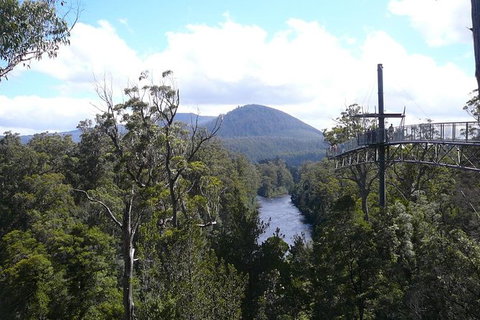Huon Valley And Tahune Forest Airwalk Tour From Hobart - Northern Rivers Accommodation 0