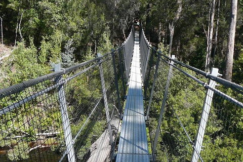 Huon Valley And Tahune Forest Airwalk Tour From Hobart - Northern Rivers Accommodation 1