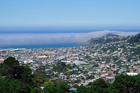 Hobart Shore Excursion: Small Group Mount Wellington 3-Hour Bike Tour - Northern Rivers Accommodation 0