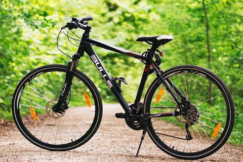 Hobart Shore Excursion: Small Group Mount Wellington 3-Hour Bike Tour - Northern Rivers Accommodation 4