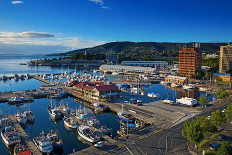 Hobart Shore Excursion: Small Group Mount Wellington 3-Hour Bike Tour - Northern Rivers Accommodation 6
