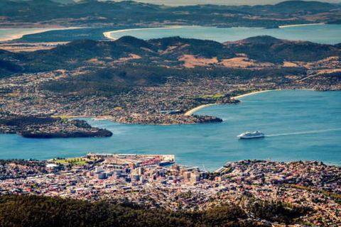 Hobart Shore Excursion: Small Group Mount Wellington 3-Hour Bike Tour - Northern Rivers Accommodation 3