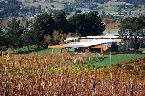 Home Hill Winery Helicopter Tour - Northern Rivers Accommodation 1