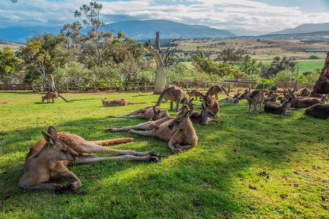2 Day - Two Of Tasmania's Best Tour - Northern Rivers Accommodation 1