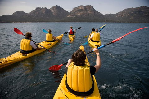 The Freycinet Paddle - Northern Rivers Accommodation 5