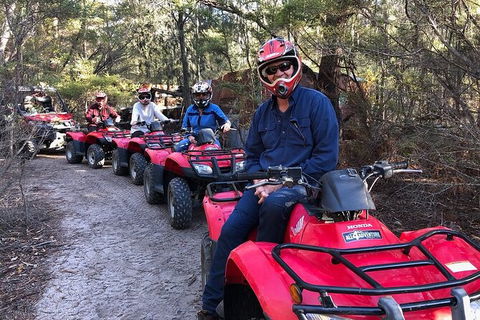 Quad Bike 2-Hour Adventure: Freycinet National Park - Northern Rivers Accommodation 8