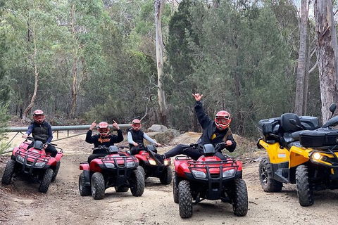 Quad Bike 2-Hour Adventure: Freycinet National Park - Northern Rivers Accommodation 4