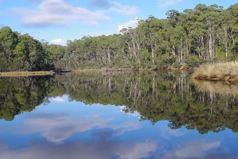 Leven River Picnic Cruise From Ulverstone - Northern Rivers Accommodation 1