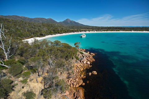 Wineglass Bay Cruise From Coles Bay - Northern Rivers Accommodation 5