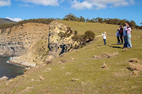 Wineglass Bay And Maria Island Wildlife Scenic Flight From Hobart - Northern Rivers Accommodation 5