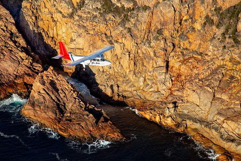 Wineglass Bay And Maria Island Wildlife Scenic Flight From Hobart - Northern Rivers Accommodation 16
