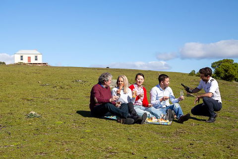 Wineglass Bay And Maria Island Wildlife Scenic Flight From Hobart - Northern Rivers Accommodation 6