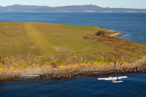 Wineglass Bay And Maria Island Wildlife Scenic Flight From Hobart - Northern Rivers Accommodation 10