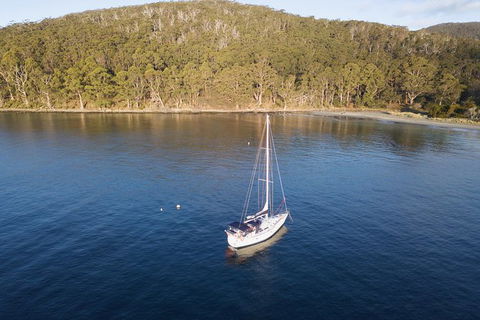 North Bruny Island Day Sail - Northern Rivers Accommodation 8