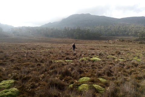 The Walls Of Jerusalem Supported Trekking Tour - Northern Rivers Accommodation 4