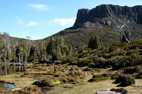 The Walls Of Jerusalem Supported Trekking Tour - Northern Rivers Accommodation 8