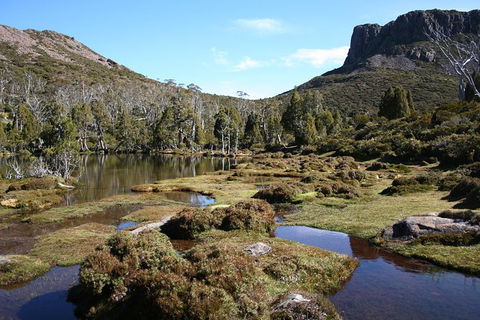 The Walls Of Jerusalem Supported Trekking Tour - Northern Rivers Accommodation 6