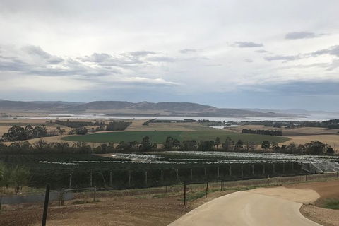 7- 8 Hour StelaVino Guided Wine Tours From Hobart - Northern Rivers Accommodation 6