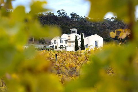 7- 8 Hour StelaVino Guided Wine Tours From Hobart - Northern Rivers Accommodation 22
