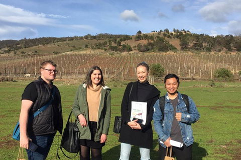 7- 8 Hour StelaVino Guided Wine Tours From Hobart - Northern Rivers Accommodation 13