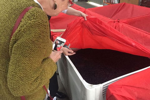 7- 8 Hour StelaVino Guided Wine Tours From Hobart - Northern Rivers Accommodation 20