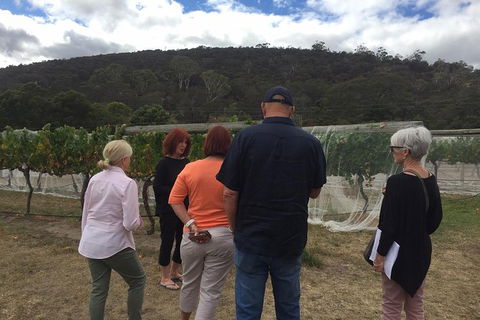 7- 8 Hour StelaVino Guided Wine Tours From Hobart - Northern Rivers Accommodation 9
