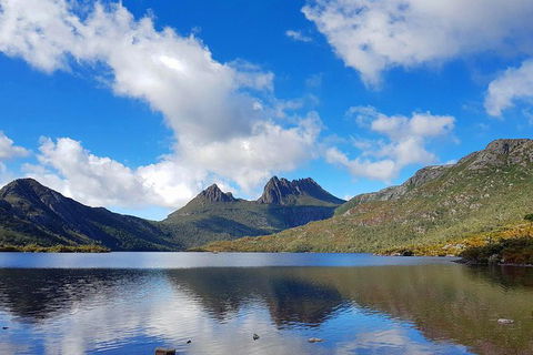 Tasmania 13 Day Premium Tour - Northern Rivers Accommodation 0
