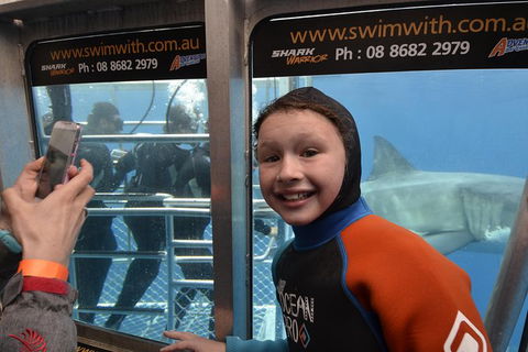 White Shark Tour With Optional Cage Dive From Port Lincoln - Northern Rivers Accommodation 8