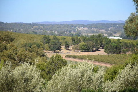 Barossa Valley Food And Wine Tour - Northern Rivers Accommodation 2