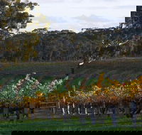 Barossa Valley with Hahndorf Tour from Adelaide - Northern Rivers Accommodation