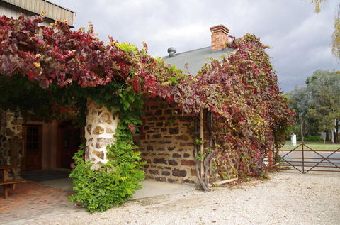 Barossa Valley Wineries Tour With Tastings And Lunch From Adelaide - Northern Rivers Accommodation 3