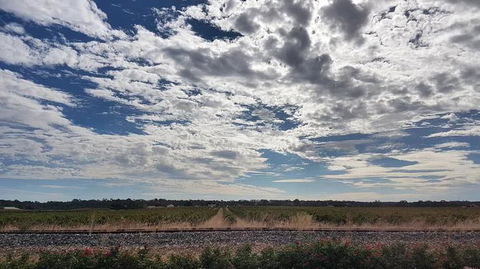 Barossa Valley Full-Day Tour From Adelaide With Maggie Beer Farm - Northern Rivers Accommodation 3