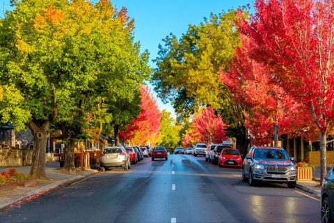 Barossa Valley Full-Day Tour From Adelaide With Maggie Beer Farm - Northern Rivers Accommodation 6