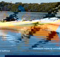 Adelaide Dolphin Sanctuary and Ships Graveyard Kayak Tour - Northern Rivers Accommodation