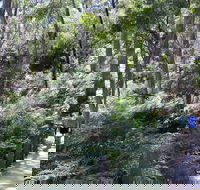 Self-Guided Waterfall Gully to Mount Lofty Hike from Adelaide - Northern Rivers Accommodation