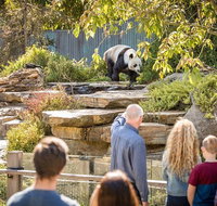 Adelaide Zoo Behind the Scenes Experience Panda and Friends Tour