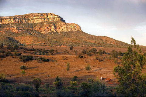 Flinders Ranges 3 Day 4WD Small Group Eco Tour From Adelaide - Northern Rivers Accommodation 8