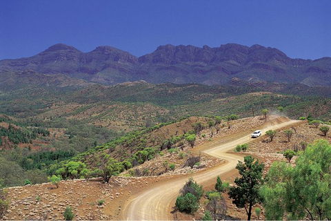 Flinders Ranges 3 Day 4WD Small Group Eco Tour From Adelaide - Northern Rivers Accommodation 9