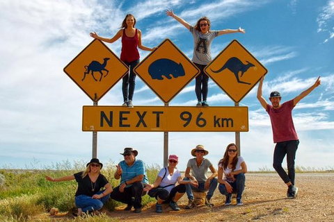 10-Day Adelaide To Perth Adventure Tour - Northern Rivers Accommodation 12