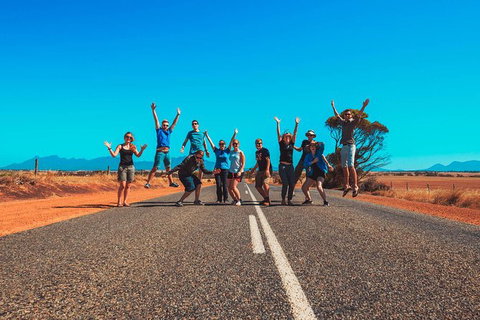 10-Day Adelaide To Perth Adventure Tour - Northern Rivers Accommodation 3