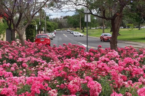 Adelaide Walking Tour: Hills, Squares And Parklands - Northern Rivers Accommodation 6